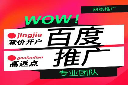 百度SEO推广案例：实战解析与优化建议